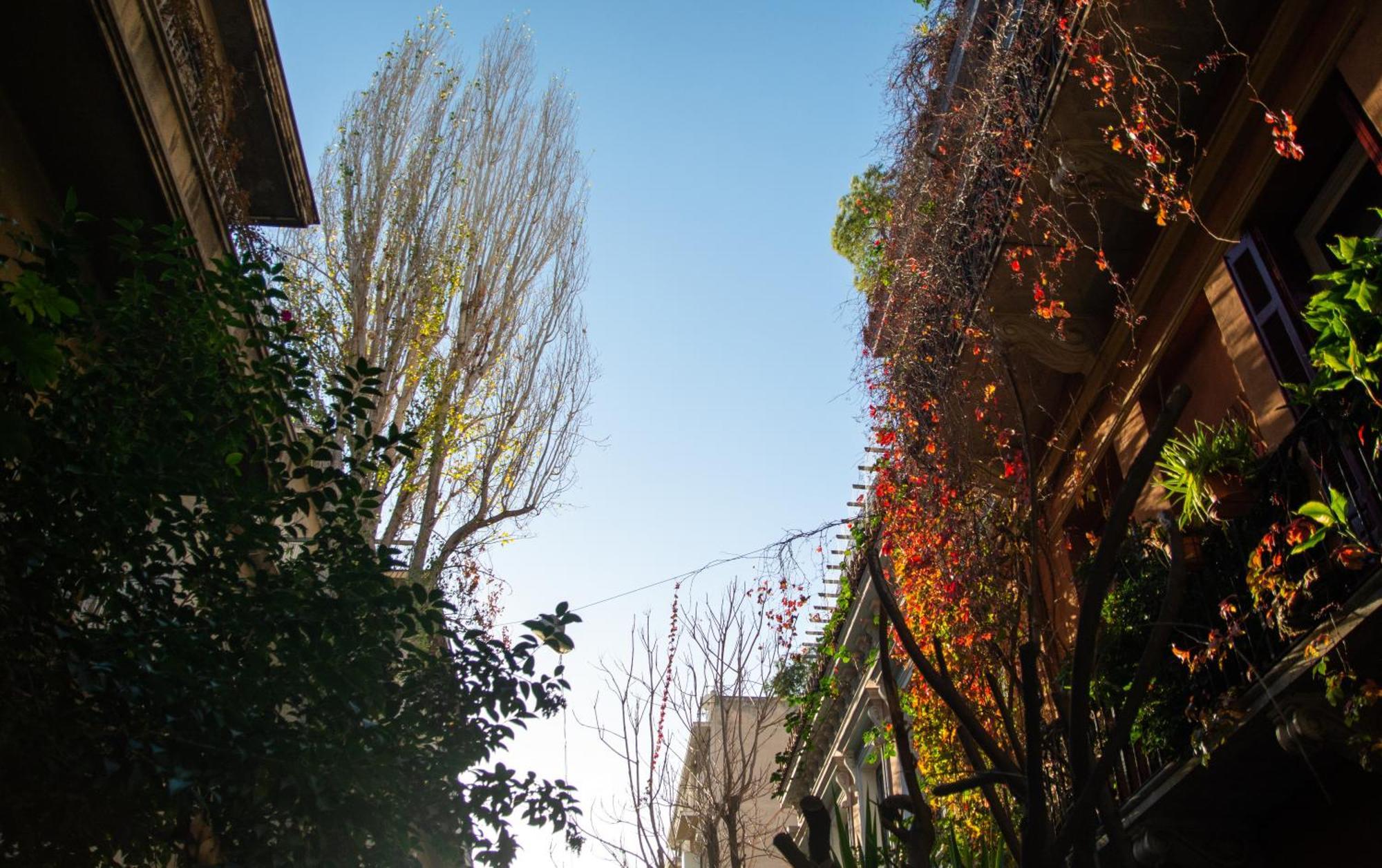Apartment Easy Flat In The Vibrant Neigborhood Of Athens! Athens